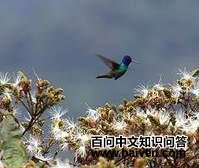 ��β����