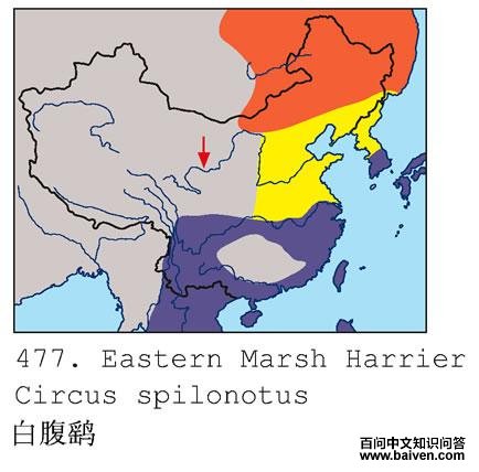 �׸��Σ������ֲ�ͼ