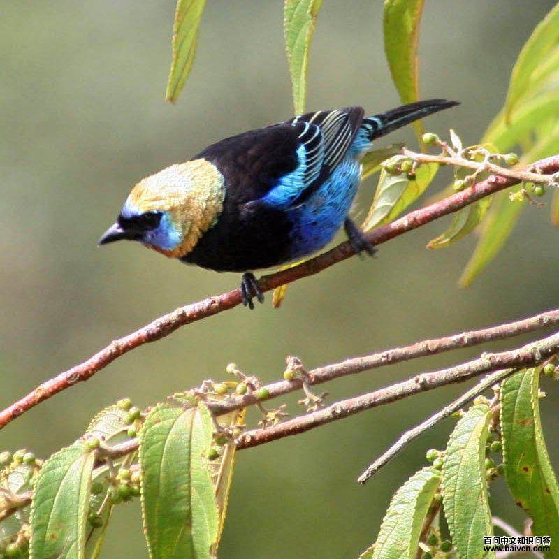 ��ͷ�Ƽ���ȸ��ͼƬ