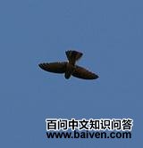 ������˿��