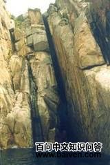 ��ɽ��˿��