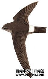 ������˿��