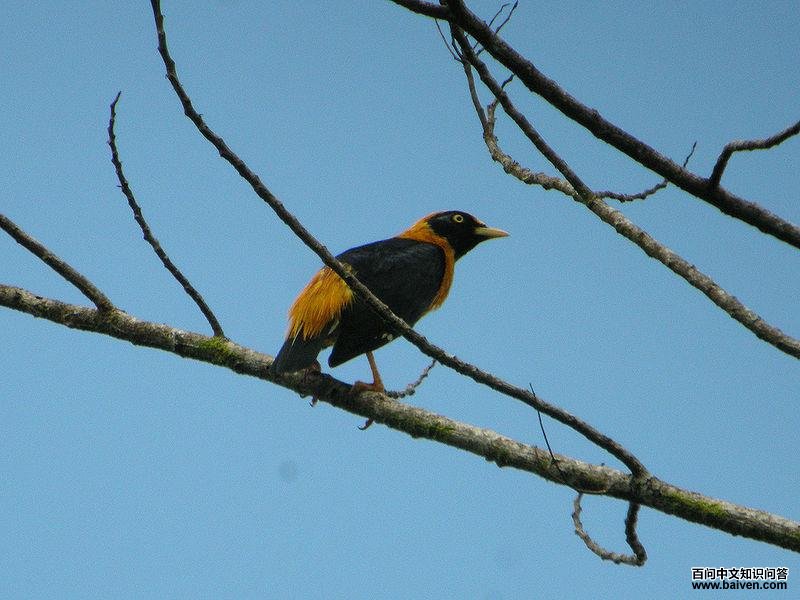 �����˸��ͼƬ