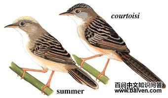 ��ͷ��βݺ����̬����ͼ