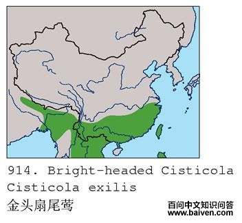 ��ͷ��βݺ�������ֲ�ͼ