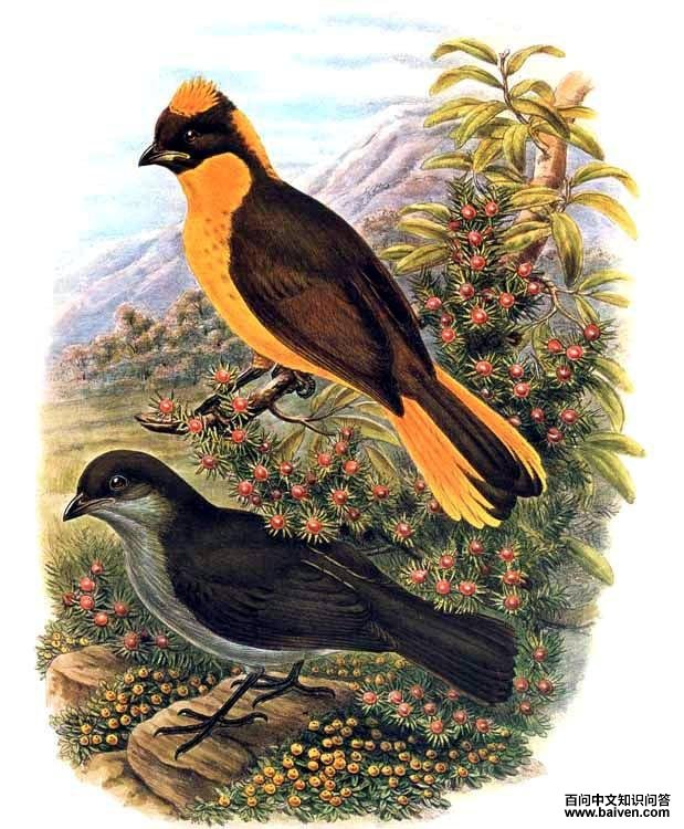 ��ͤ����̬����ͼ