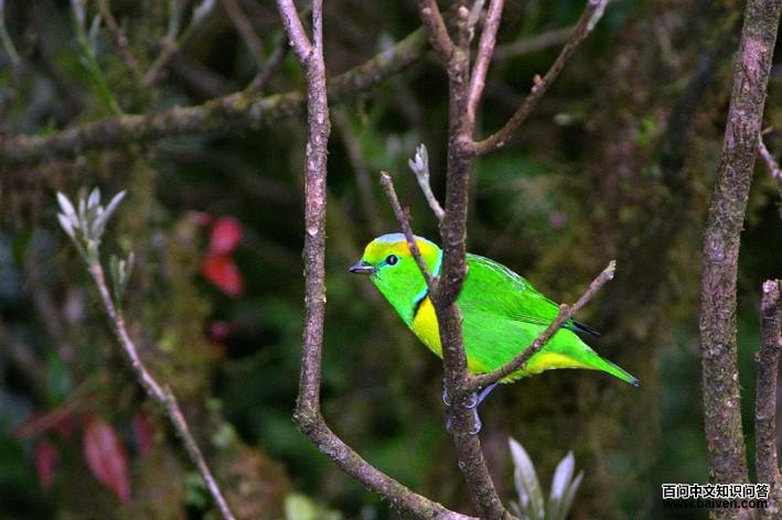 ��ü��ȸ��ͼƬ