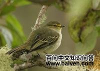 ����С���l��ͼƬ