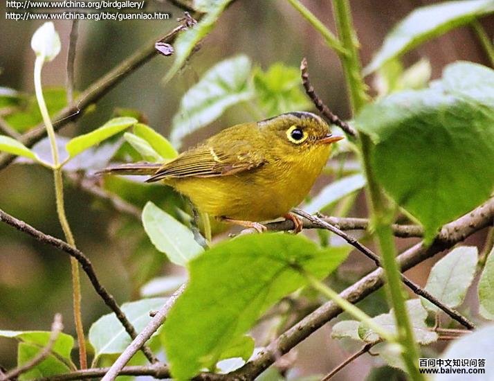 ����lݺ���е����־���һ������