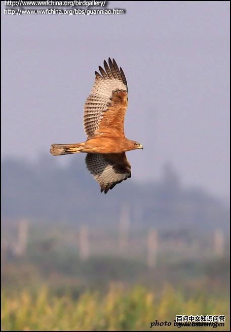 �׸������ǳ������ͼ