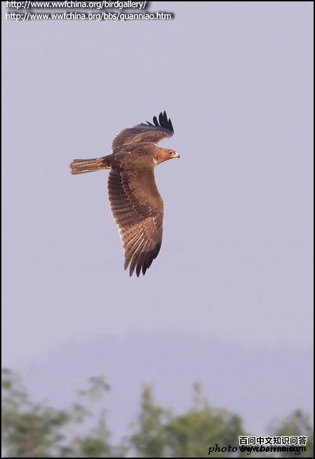 �׸������ǳ������ͼ