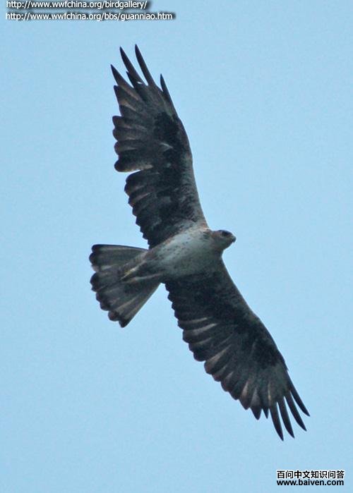 �׸���������ڷ���