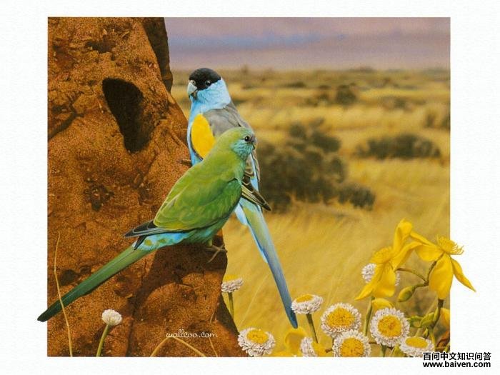 �������