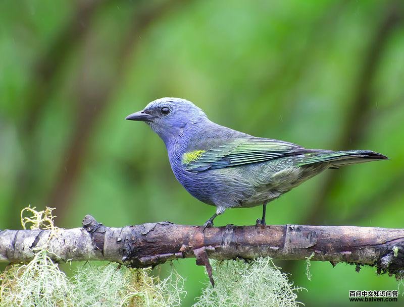 ��������ȸ��ͼƬ