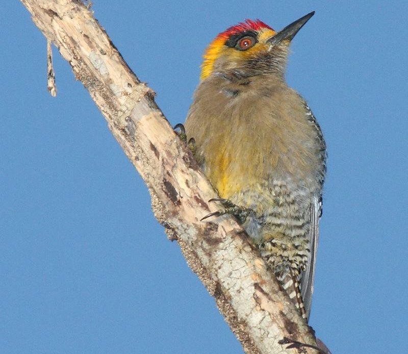 �����ľ���ͼƬ