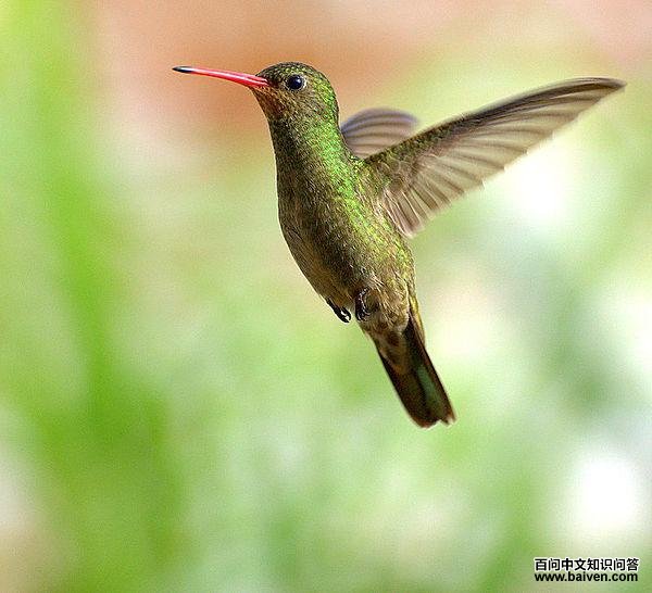 ���������ͼƬ