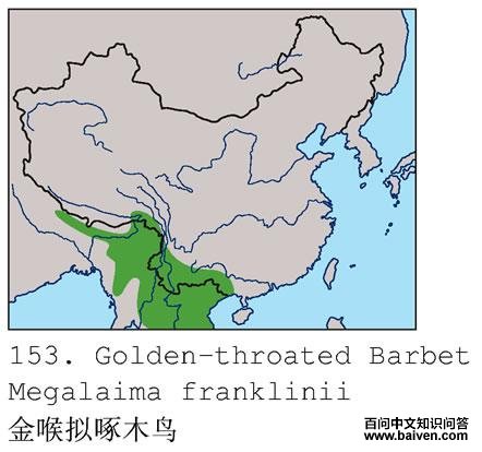 �������ľ�񣺵����ֲ�ͼ