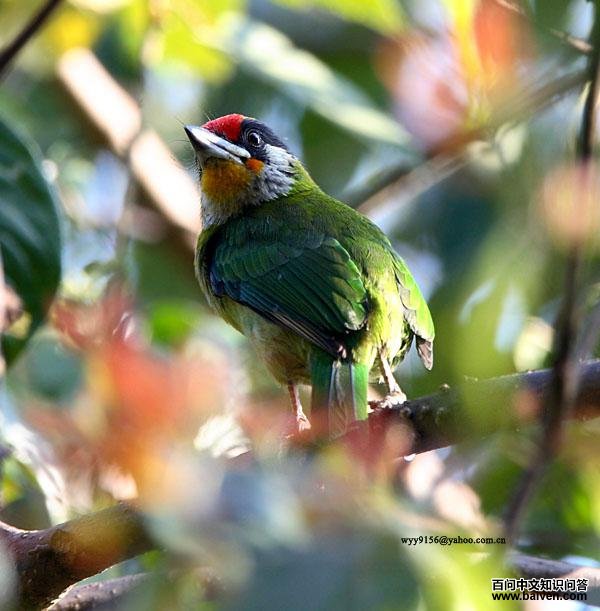 �������ľ��