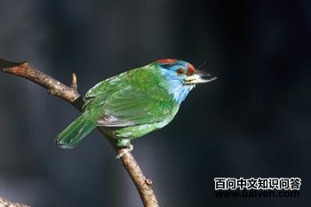 �������ľ��