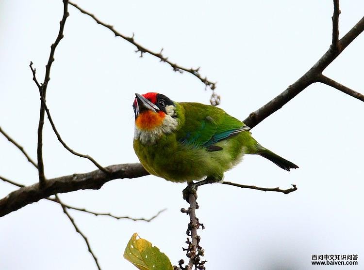 �������ľ��