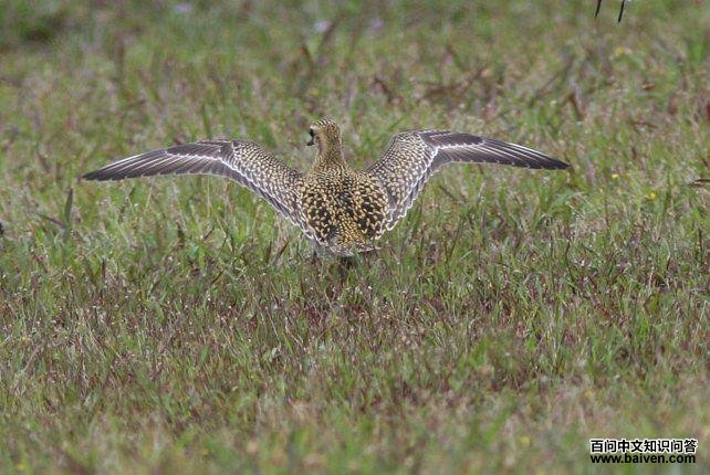 ���a�����