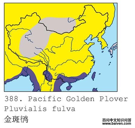 ���a�������ֲ�ͼ