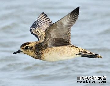 ����a�ǳ���