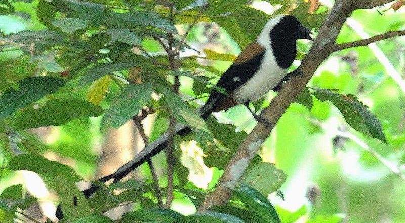 �׸���ȵ��ͼƬ