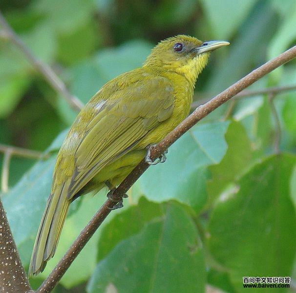 ����ǵ�ͼƬ