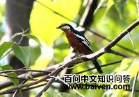 �������V��ͼƬ