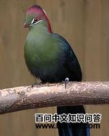 �ڽ�����