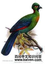 ���ؽ�����