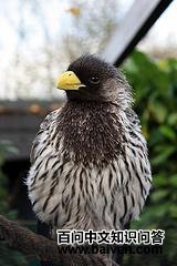 �ҽ�����