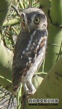 ����m��ͼƬ