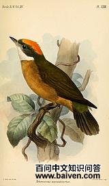 �ȶ����l��