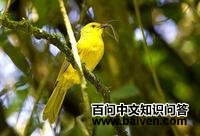 ������ǵ�ͼƬ