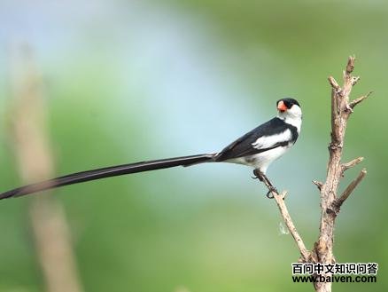 ��βά�����ͼƬ