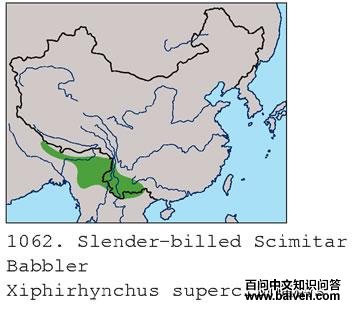 �����̣������ֲ�ͼ