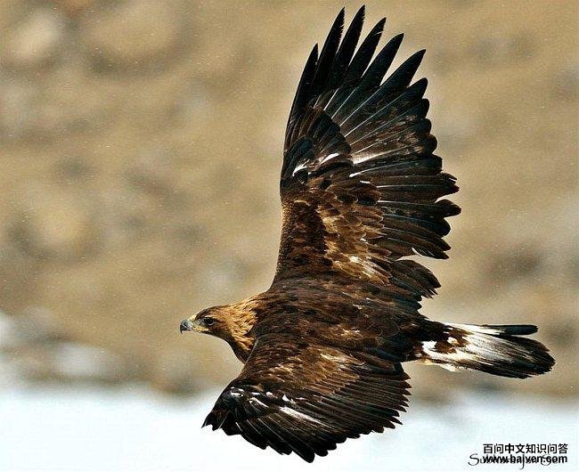 ����ǳ���