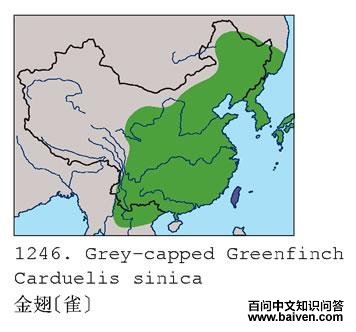 ���ȸ�������ֲ�ͼ