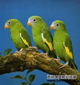 �����и��ͼƬ