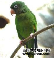 �����и�