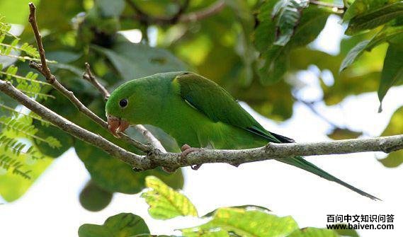 �����и�