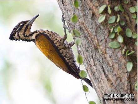 ����ֺ��ľ��