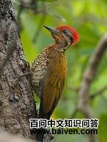 ����ֺ��ľ��