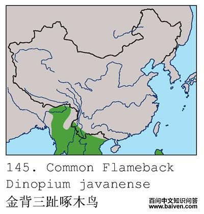 ����ֺ��ľ��