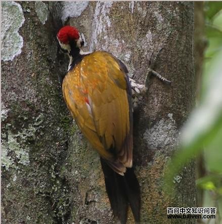 ����ֺ��ľ��