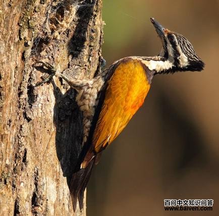 ����ֺ��ľ��