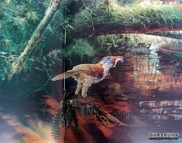 �����Ǹ�