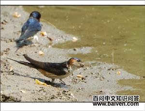 �����Ǹ�